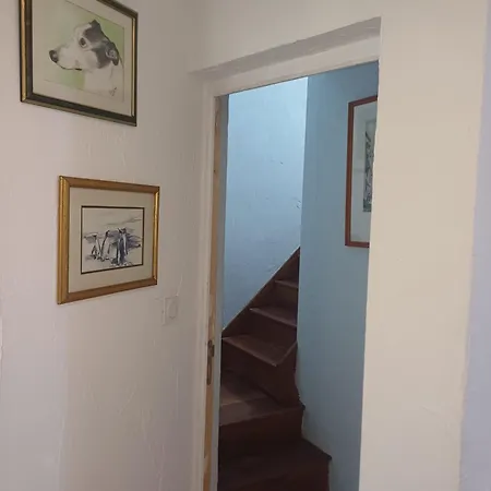 Century 21
